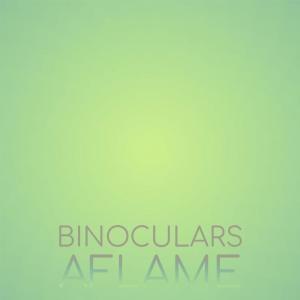 Various的专辑Binoculars Aflame