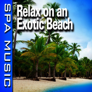 收聽SPA Music的Serene Seashore with Music歌詞歌曲
