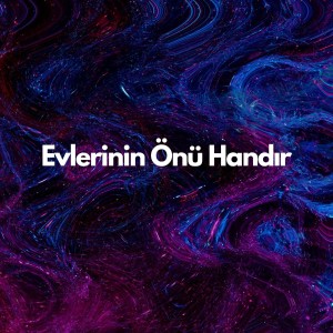 Listen to Evlerinin Önü Handır song with lyrics from Dilek Türkan