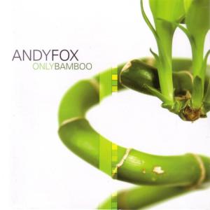 ดาวน์โหลดและฟังเพลง While You Were Sleeping พร้อมเนื้อเพลงจาก Andy Fox