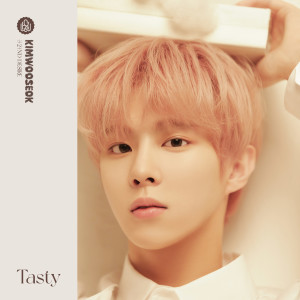 Album 2ND DESIRE [TASTY] from Kim Woo Seok