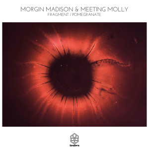 Listen to Pomegranate (其他) song with lyrics from Morgin Madison
