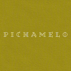 Listen to Pichamelo song with lyrics from X2 Ezequiel & Jeremiah