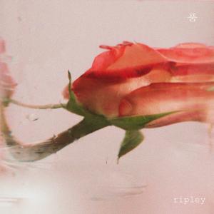 Listen to 품 song with lyrics from 리플리