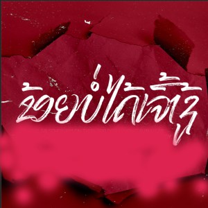 ดาวน์โหลดและฟังเพลง ຂ້ອຍບໍ່ໄດ້ເຈົ້າຊູ້ (ข้อยบ่อได้เจ้าชู้) (Explicit) พร้อมเนื้อเพลงจาก Saleeka Papa