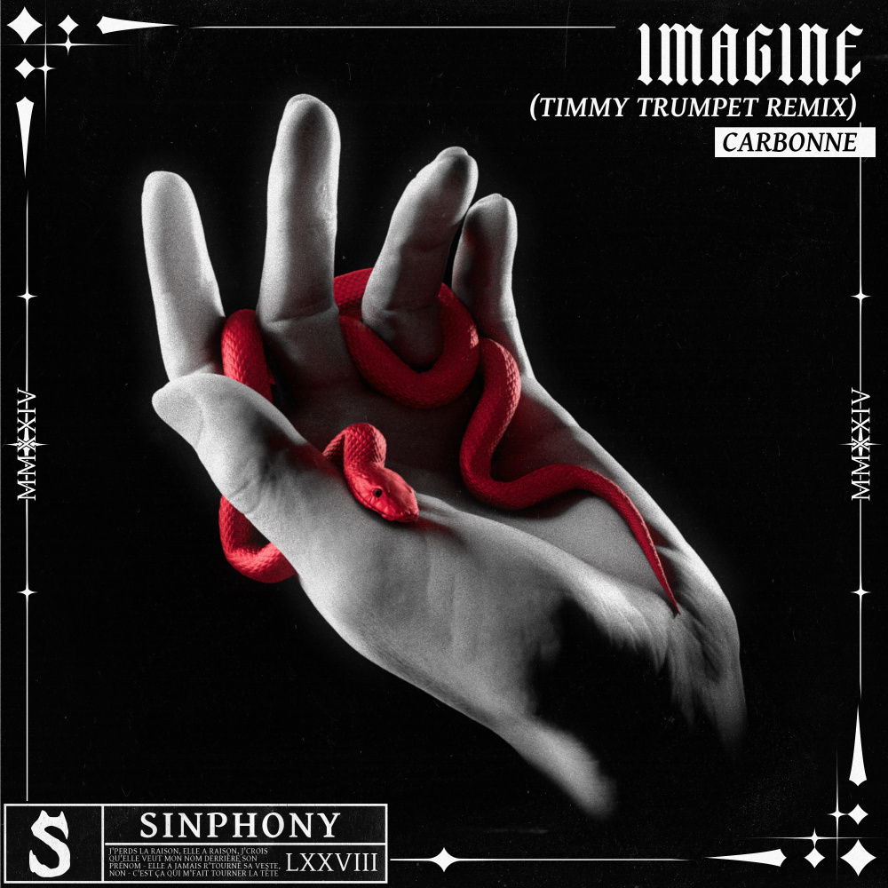 Imagine (feat. Carbonne) (Timmy Trumpet Remix)