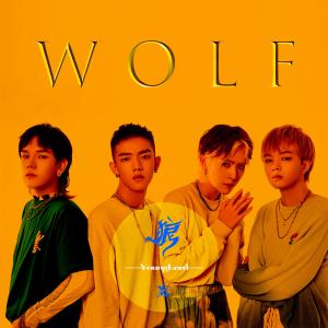 ￥oungLord-高毅磊的專輯狼/Wolf