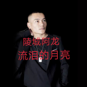 收聽陵城阿龍的流淚的月亮 (完整版)歌詞歌曲
