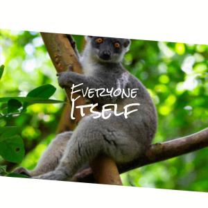 Listen to Endnote song with lyrics from Rale Eser