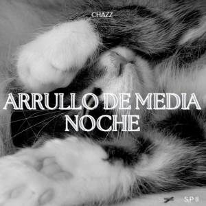 收聽Chazz的Arrullo de Media Noche歌詞歌曲