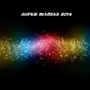 ดาวน์โหลดและฟังเพลง Te Iubesc (feat. Copilul De Aur) พร้อมเนื้อเพลงจาก Cei Mai Tari Manelisti