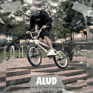 ÁREA 14 MUSIC的專輯Alud (Explicit)