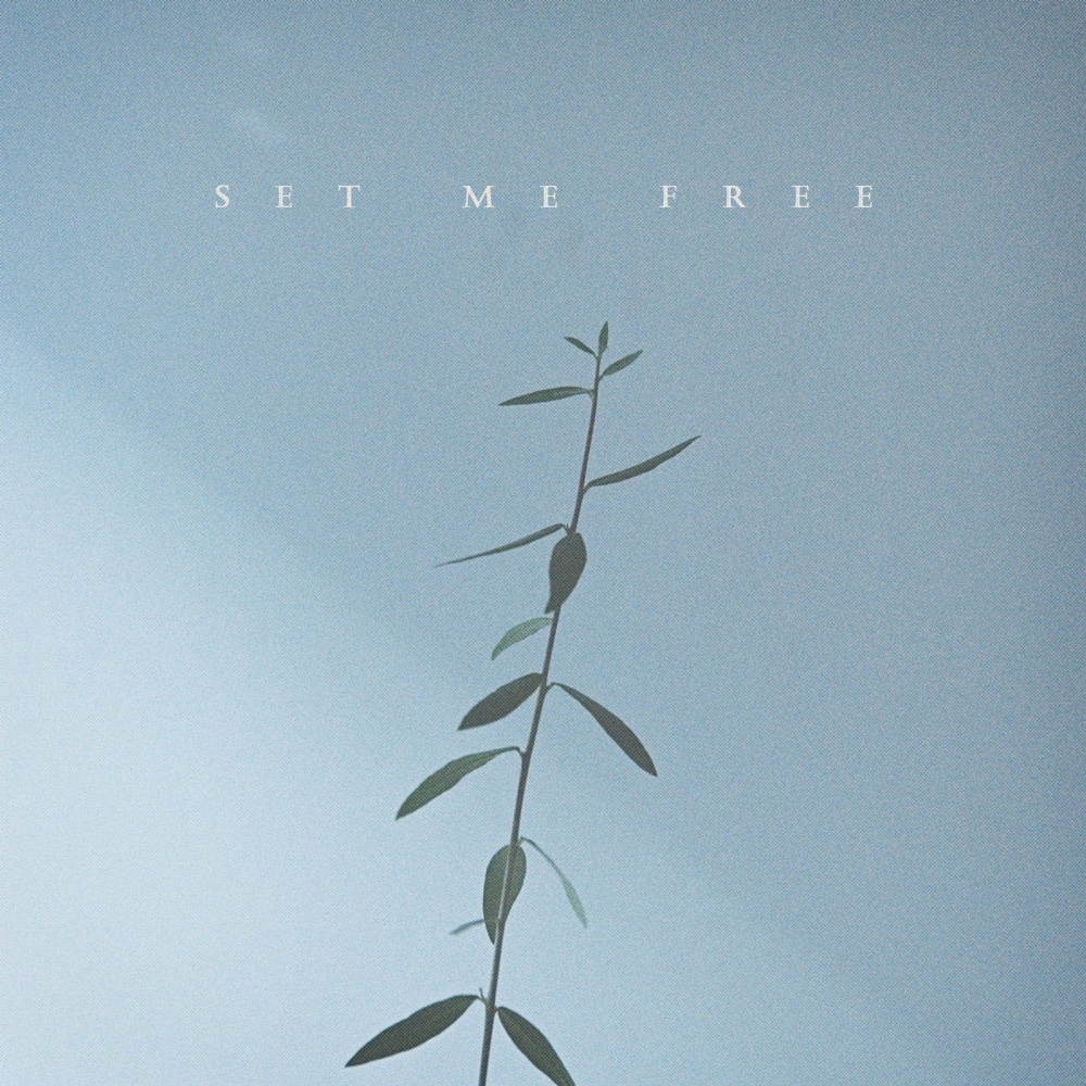 Set Me Free