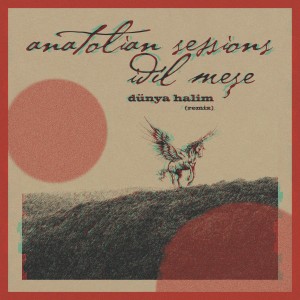 Album Dünya Halim (Remix) from Idil Mese