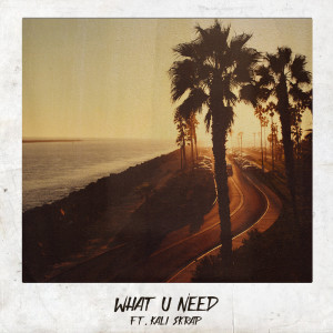 Listen to What U Need (Explicit) song with lyrics from Ikon