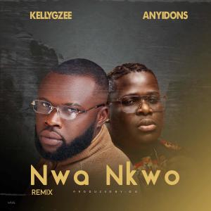 Anyidons的專輯Nwa nkwo (Remix) (feat. Anyidons)