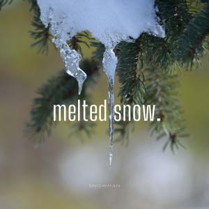 Snowman的專輯Melted Snow