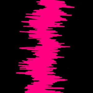 Listen to Fuck Everything (Acapella|Explicit) song with lyrics from Dan Bull