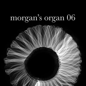 อัลบัม Morgan's Organ 06 ศิลปิน Morgan Fisher