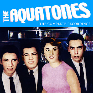ดาวน์โหลดและฟังเพลง Everytime พร้อมเนื้อเพลงจาก The Aquatones