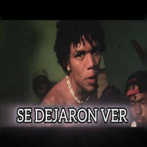 Listen to Se Dejaron Ver (Explicit) song with lyrics from CV Uva