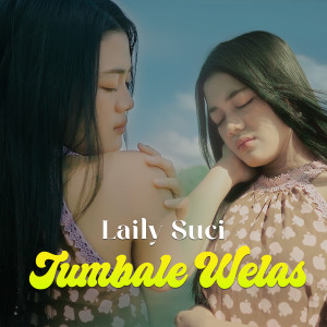 Laily Suci的专辑TUMBALE WELAS