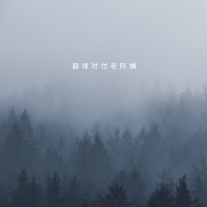 Listen to 最难对付老阿姨 song with lyrics from 语音表哥