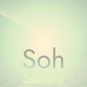 Soh Suchlike dari Various