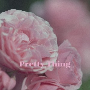 Listen to Dont Worry Baby song with lyrics from The Tokens