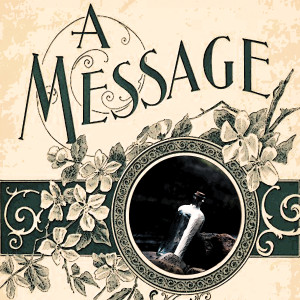 Album A Message from Vikki Carr