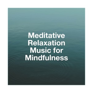 Album Meditative Relaxation Music for Mindfulness oleh Sounds of Nature White Noise for Mindfulness Meditation and Relaxation