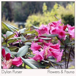 收聽Dylan Purser的Flowers and Fauna歌詞歌曲