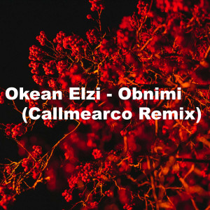 Dengarkan lagu Obnimi (Callmearco Remix) nyanyian Okean Elzi dengan lirik