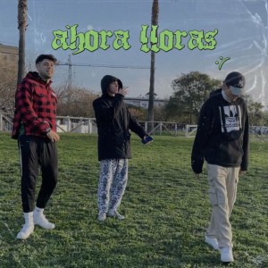 Listen to Ahora Lloras song with lyrics from Luis Roca
