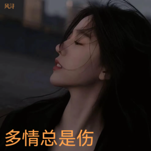 风浔的专辑多情总是伤