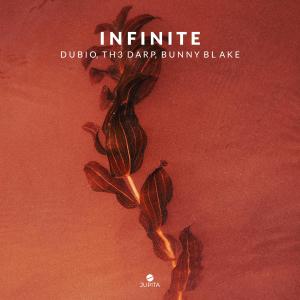 Listen to Infinite song with lyrics from Dubio