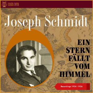 Listen to Es Wird Im Leben Dir Mehr Genommen Als Gegeben song with lyrics from Joseph Schmidt
