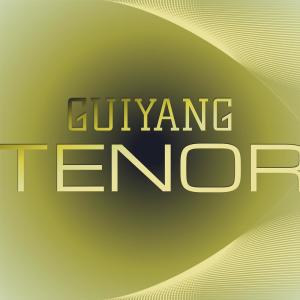 Album Guiyang Tenor from Various