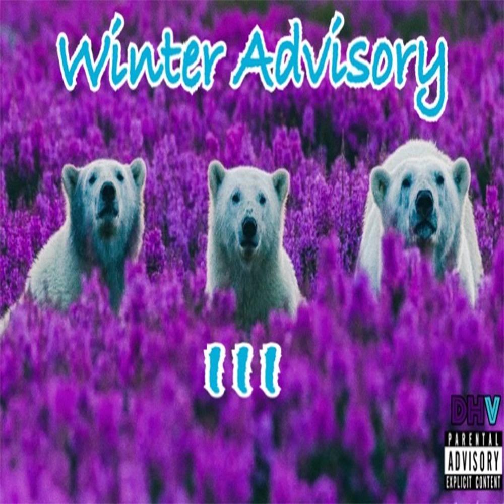 Bling Bling 23 (feat. Ice Woadie & HandsomeBaby) (Explicit)
