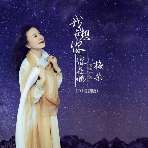收聽梅朵的我在想你你在哪 (DJ何鵬版)歌詞歌曲