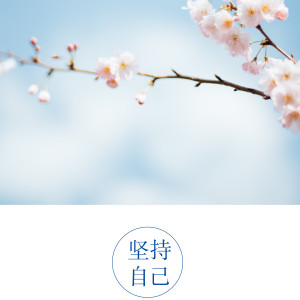 Listen to 坚持自己 (伴奏) song with lyrics from 毕铖