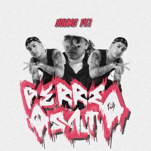 ดาวน์โหลดและฟังเพลง PERREO OSITO พร้อมเนื้อเพลงจาก Young Pei