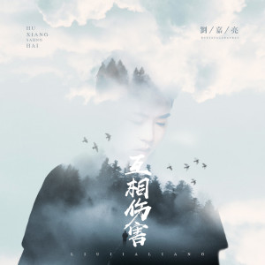Listen to 那个与我擦肩的女子 (DJ王贺Extended Mix) song with lyrics from 刘嘉亮