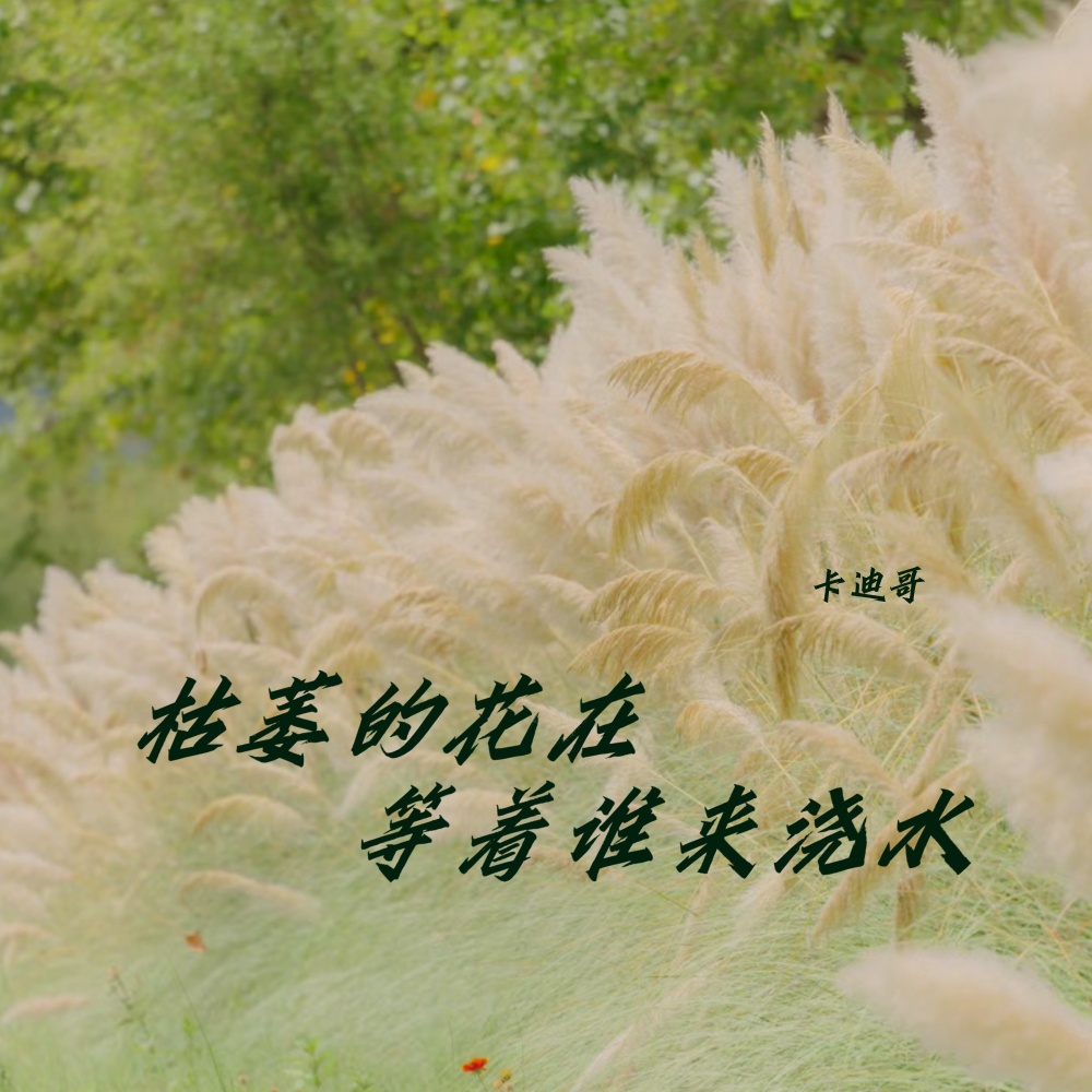 枯萎的花在等着谁来浇水