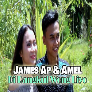 Listen to Di Rangkul Wong Liyo song with lyrics from James AP