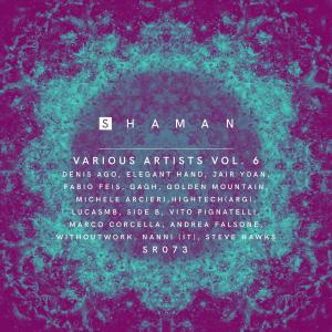 Various Artists的專輯Vol. 6