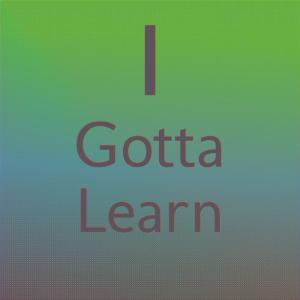 收听Dick Fagan的I Gotta Learn歌词歌曲