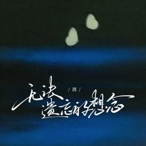 Album 无法遗忘的想念 from 渡
