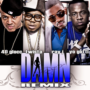Damn (Remix) [feat. Ray J, Twista and Gotti] - Single