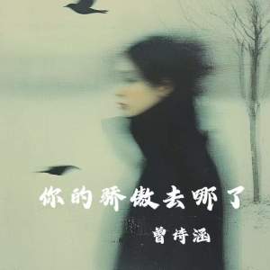 Listen to 你的骄傲去哪了 song with lyrics from 曾诗涵